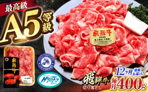 [12回定期便] [A5等級] 飛騨牛 切り落とし(前バラ・肩ロース使用) 総計4.8kg [1回あたり]400g 多治見市 / 豊吉屋精肉店 プロトン凍結 氷温(R)熟成 国産 ブランド牛 