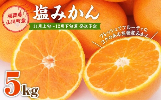 A157 福岡県山川産 塩みかん 5kg 【2025年11月上旬～12月下旬発送予定】 蜜柑 花藻塩