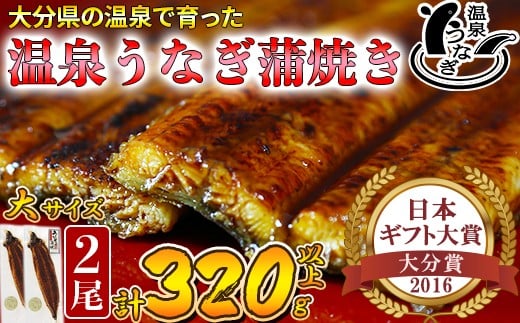 【配送日指定可能】温泉うなぎ蒲焼 2尾（160gサイズ） 国産うなぎ 人気 国産 蒲焼 蒲焼き かば焼き 鰻屋 個包装 冷凍 真空 ギフト ＜104-011_5＞