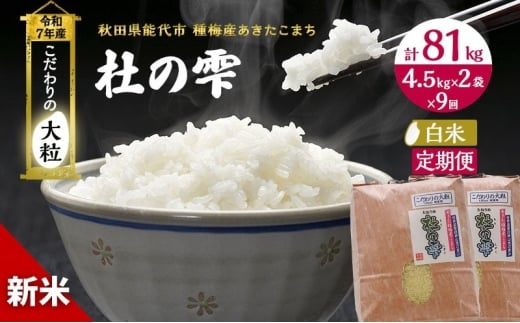 令和7年産 新米 米 お米 《定期便9ヶ月》【白米】秋田県産 あきたこまち あきた種梅産こまち 杜の雫 こだわりの大粒 9kg（4.5kg×2袋）×9回 合計81kg 