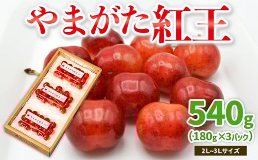 やまがた紅王 約540g 2～3Lサイズ (180g×3パック) 【令和8年産先行予約】FS25-020