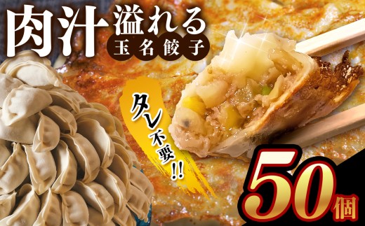タレ不要！！ 肉汁 溢れる『 玉名餃子 』 50個 | 餃子 ぎょうざ お手軽 小分け 冷凍 冷凍食品 おかず 豚肉 熊本県 玉名市 2241496 - 熊本県玉名市