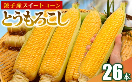 【先行予約】 とうもろこし 26本 数量限定 期間限定 産地直送 鮮度抜群 大容量 旬の野菜 旬の味覚 夏の風物詩 甘い トウモロコシ イエローコーン スイートコーン 夏野菜 バターコーン コーン スープ 特産品 とうきび プレゼント 贈り物 ギフト 贈答 お取り寄せ グルメ お取り寄せグルメ 発送時期 2026年7月中旬～(なくなり次第終了)  ふるさと納税 送料無料 千葉県 銚子市 小野商店 2170119 - 千葉県銚子市