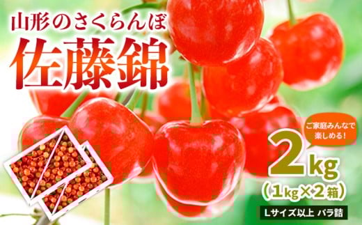 [ご家庭みんなで楽しめる!2kg]山形のさくらんぼ 佐藤錦 2kg Lサイズ以上 バラ詰 (1kg×2箱) [令和8年産先行予約]FS25-011