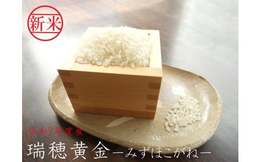 【数量限定】令和７年産早場米　瑞穂黄金２ｋｇ（９月中旬から順次発送） 876619 - 福島県金山町
