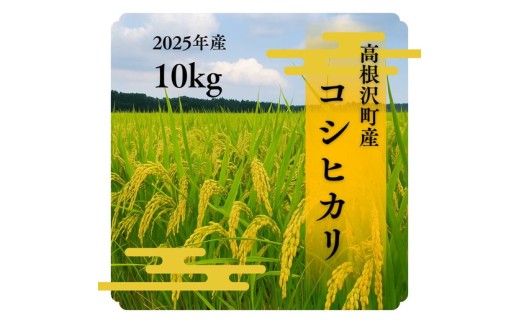 高根沢町産コシヒカリ(精米)10kg※離島への配送不可※2025年9月中旬頃〜12月下旬頃に順次発送予定
