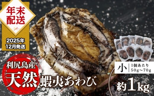 【2025年12月発送】利尻島産 天然蝦夷あわび 1kg<小>(50g~70gサイズ)<利尻漁業協同組合> 2242626 - 北海道利尻富士町