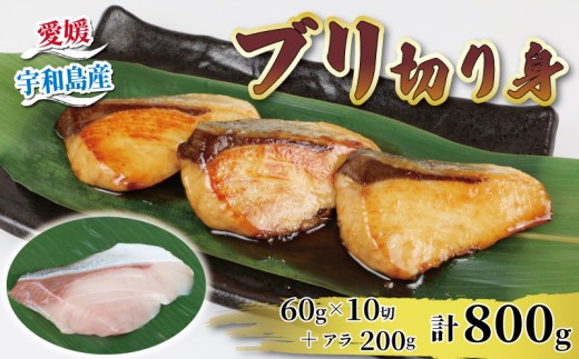 国産ブリ 鰤 ぶり 切り身 60g × 10切 アラ 200g 計 800g 河野鮮魚店 ブリ 切身 真空パック 新鮮 魚介 海鮮 海産物 鮮魚 魚 カット 済み おすすめ 簡単 調理 照焼 照り焼き ぶり大根 鰤大根 急速冷凍 冷凍 数量限定 産地直送 国産 愛媛 宇和島 D010-177007 1307043 - 愛媛県宇和島市