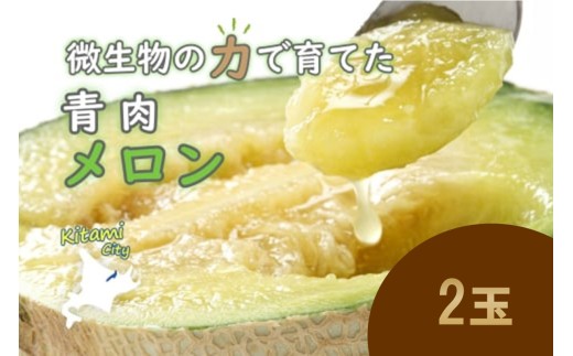北海道北見市産 青肉メロン 2玉 ( メロン 青肉 果物 果実 )【081-0008-2025】