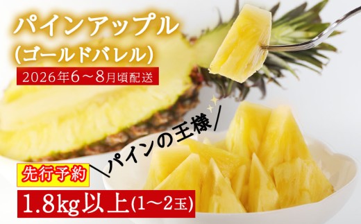 【2026年6～8月頃配送】今帰仁産パインアップル（ゴールドバレル）1.8㎏以上　1～2玉　先行予約