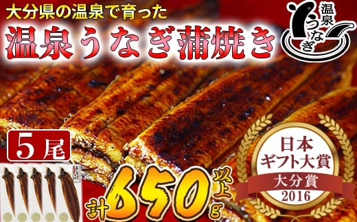 【配送日指定可能】温泉うなぎ蒲焼 5尾（130gサイズ） 国産うなぎ 人気 国産 蒲焼 蒲焼き かば焼き 鰻屋 個包装 冷凍 真空 ギフト 敬老の日 ＜104-006_5＞