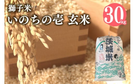 【令和7年産】獅子米 いのちの壱 玄米 30kg 岡田ファーム コンテスト受賞米 お米 米 おこめ ブランド米 30キロ 国産 単一原料米 コメ こめ ご飯 銘柄米 茨城県産 茨城 産直 産地直送 農家直送 ごはん 家庭用 贈答用 お取り寄せ 茨城県 石岡市 (B02-020)