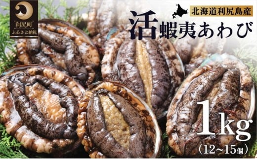 【10～12月発送受付】天然蝦夷『活』アワビ1ｋg　利尻島産【期間限定】利尻昆布を食べて育った美味しいあわび お正月 おせち 刺身 北海道 利尻 エゾアワビ 1373806 - 北海道利尻町