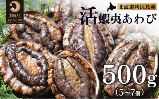 【10～12月発送受付】天然蝦夷『活』アワビ500g　利尻島産【期間限定】利尻昆布を食べて育った美味しいあわび お正月 おせち 刺身 北海道 利尻 エゾアワビ 1373805 - 北海道利尻町