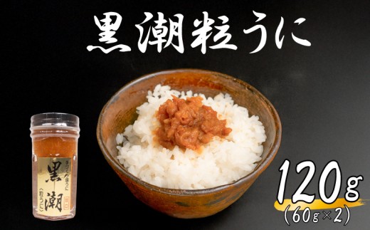 粒ウニ 120g うに 塩うに 粒うに 雲丹 瓶詰 瓶 ビン 海鮮 魚介 新鮮 人気 珍味 父の日 母の日 お中元 お歳暮 年末 年始 ギフト プレゼント 贈り物 贈答 感謝 高級 人気うに 瓶ウニ好きにおススメ 塩ウニ ウニ丼 うに丼