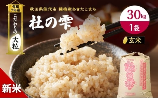 令和7年産 新米 玄米 秋田 あきたこまち 杜の雫 30kg 1袋 秋田県産 米 お米 こだわりの大粒 種梅産 ご飯 ブランド米 大粒 おにぎり 産地直送 送料無料 おこめ ごはん 秋田県