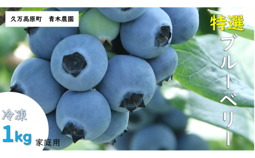 農園直送 完熟 オーガニック手摘み 家庭用 冷凍 ブルーベリー 1kg | 愛媛県 久万高原町 廣瀬農園 自然派 高原栽培 国産 フルーツ ベリー おやつ 製菓用 スムージー ヨーグルト 朝食 ビタミンC 食物繊維 長期保存 ※2025年10月上旬頃より順次発送予定