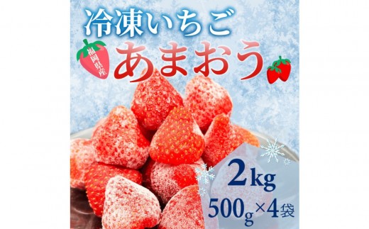 【福岡スイーツ自然の贈り物】かわいい化粧箱入り！福岡県産冷凍あまおう合計2kg(500g×4袋)【あまおう いちご イチゴ 冷凍あまおう 冷凍いちご 果物 スイーツ 福岡県産 あまおう スムージー ヨーグルト アイス お菓子 デザート 贈り物 贈答 ギフト 筑前町 ふるさと納税 送料無料 FR016】 1734991 - 福岡県筑前町