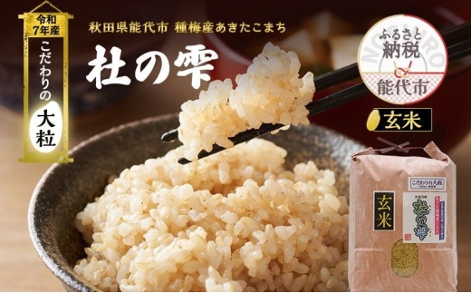 令和7年産 新米 米 お米 《定期便12ヶ月》【玄米】秋田県産 あきたこまち あきた種梅産こまち 杜の雫 こだわりの大粒 10kg×12回 合計120kg