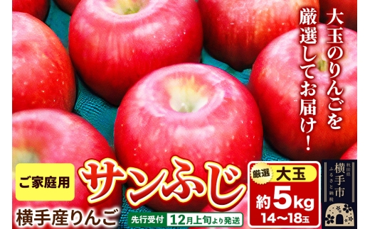 【先行受付】12月上旬より発送 横手市増田産りんご サンふじ【大玉】ご家庭用 約5kg 2241684 - 秋田県横手市