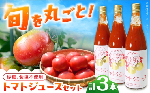 石川農園 みんなで飲もっか!トマトジュースセットE / 完熟トマト とまと 健康 美肌 ビタミン / 恵那市 / クリエイティブファーマーズ [AUAH003]