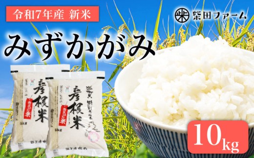 【数量限定 先行予約 令和7年産】 環境こだわり栽培 新米 みずかがみ 10kg 白米 米 コメ お米 ご飯 ごはん 5kg×2袋 10 令和7年 7年 10月 順次発送 滋賀 彦根 2192479 - 滋賀県彦根市