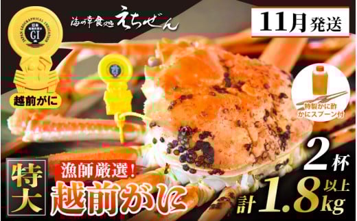 ≪浜茹で≫ 越前がに 特大 × 2杯（生で計1.8kg以上） 越前がに漁師厳選！かに酢 かにスプーン4本 食べ方QRコード付き【雄 ズワイガニ ずわいがに 姿 ボイル 冷蔵 福井県】【11月発送分】希望日指定可 備考欄に希望日をご記入ください [e38-x002_11]
