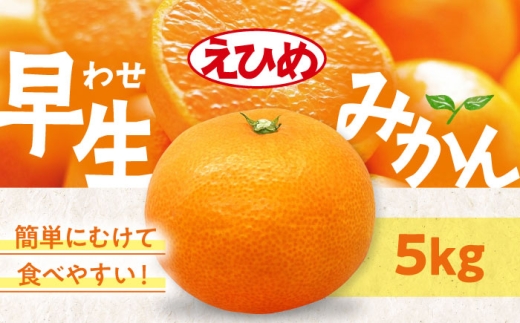 [先行予約][11月中旬から順次発送]温州みかん(早生) 5kg 愛媛県大洲市/永沼農園 果物 フルーツ 愛媛みかん [AGAW016]
