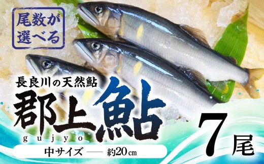 [尾数が選べる]郡上鮎 長良川の天然鮎 中サイズ(約20cm) 7尾 / 食品 魚介類 水産加工品 その他水産物 鮎 アユ 15000円 G0076b