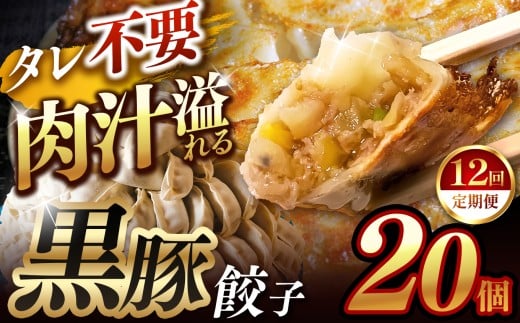 【定期便12回】肉汁 溢れる『 黒豚餃子 』 20個 | 餃子 ぎょうざ お手軽 小分け 冷凍 冷凍食品 おかず 豚肉 熊本県 玉名市