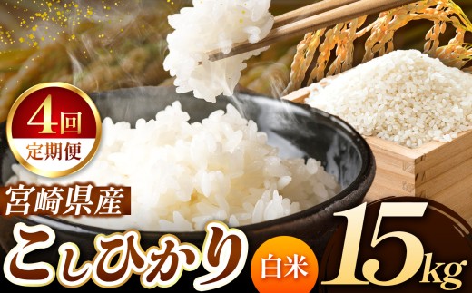 【 定期便4回 】令和7年産 こしひかり 15kg （ 白米 ） 宮崎県産 | 米 こめ お米 おこめ 精米 白米 宮崎県 五ヶ瀬町