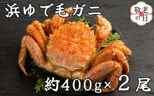 37-20 【敬老ギフト】流氷明け浜ゆで毛ガニ約400g×2尾
