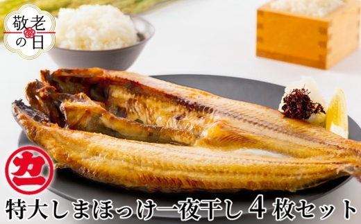 15-341 【敬老ギフト】脂の乗った特大しまほっけの一夜干し4枚セット