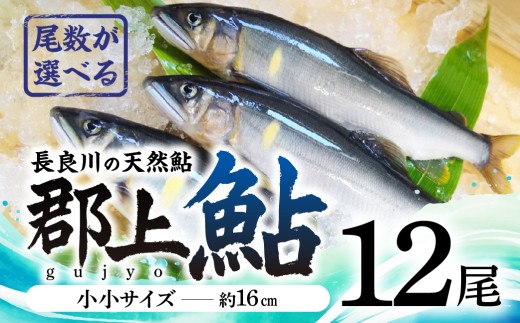 [尾数が選べる]郡上鮎 長良川の天然鮎 小小サイズ(約16cm) 12尾 / 食品 魚介類 水産加工品 その他水産物 鮎 アユ 15000円 G0074c
