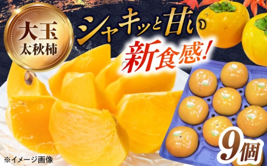 太秋柿「黒田如水柿」9個セット 滋賀県長浜市/公益社団法人長浜観光協会 [AQBY001]