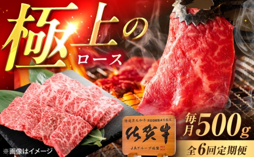 【6回定期便】佐賀牛 ロース 焼肉用 500g /MKミート武雄 [UEM056] 2241651 - 佐賀県武雄市