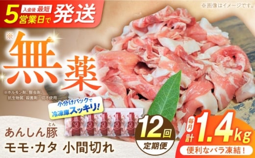 【12回定期便】 《バラ凍結》 モモ・カタ 小間切れ 1.4kg （280g×5袋） 豚肉 小分け 定期便 豚こま 白川町 / 藤井ファーム [AWAF032] 2242581 - 岐阜県白川町