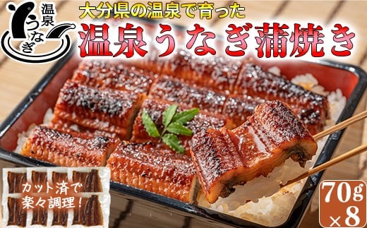 【配送日指定可能】完全無投薬養殖！大分水産の温泉うなぎ蒲焼（カット）70g×8 国産 蒲焼 蒲焼き かば焼き 鰻屋 個包装 冷凍 真空 ギフト ＜104-004_5＞
