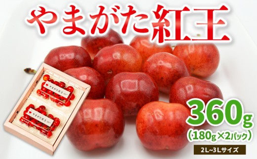 やまがた紅王 約360g 2〜3Lサイズ (180g×2パック) [令和8年産先行予約]FS25-019