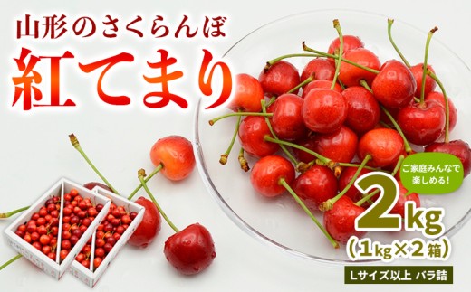 [ご家庭みんなで楽しめる!2kg]山形のさくらんぼ 紅てまり 2kg Lサイズ以上 バラ詰 (1kg×2箱) [令和8年産先行予約]FS25-009