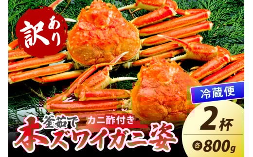 【大好評！カニ酢付き】訳あり！釜茹で！特大本ずわいがに姿 800g×2杯　YK00488