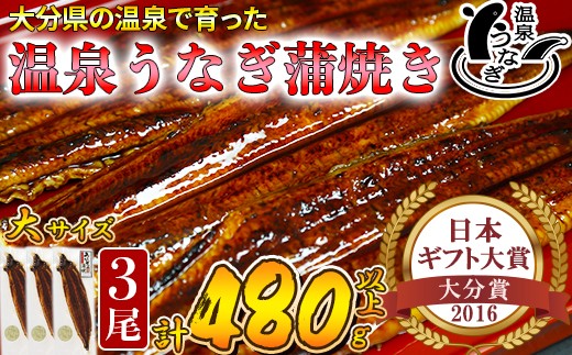 【配送日指定可能】温泉うなぎ蒲焼 3尾（160gサイズ） 国産うなぎ 人気 国産 蒲焼 蒲焼き かば焼き 鰻屋 個包装 冷凍 真空 ギフト 敬老の日 ＜104-012_5＞