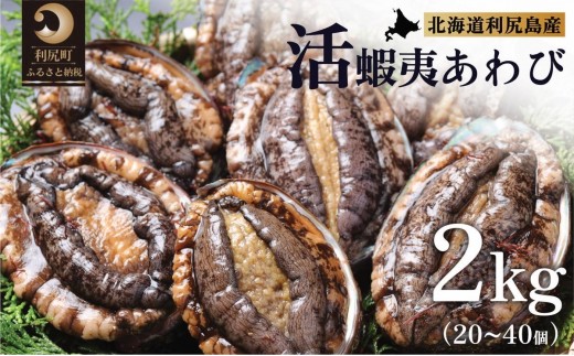 【10～12月発送受付】天然蝦夷『活』アワビ2kg 利尻島産【期間限定】利尻昆布を食べて育った美味しいあわび お正月 おせち 刺身 北海道 利尻 エゾアワビ 2239514 - 北海道利尻町