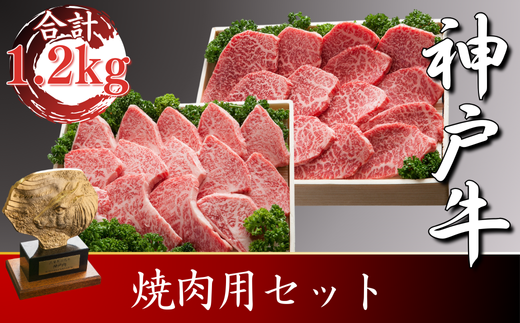 神戸牛 焼肉用セット　合計1200g　SOYS5