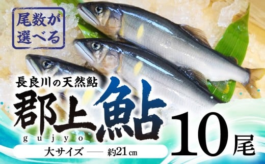 【尾数が選べる】郡上鮎 長良川の天然鮎 大サイズ(約21ｃｍ) 10尾 / 食品 魚介類 水産加工品 その他水産物 鮎 アユ 30000円 G0077d