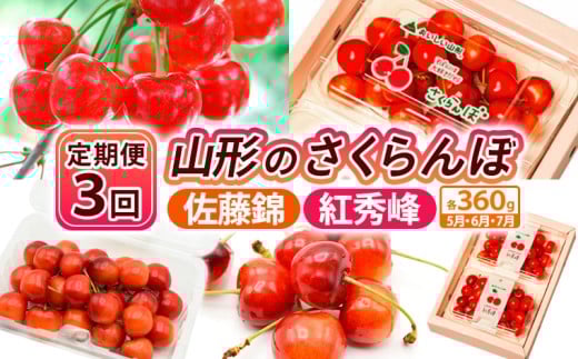 [定期便3回]山形のさくらんぼ 佐藤錦・紅秀峰 各360g×3回[5月・6月・7月] [令和8年産先行予約]FS25-007
