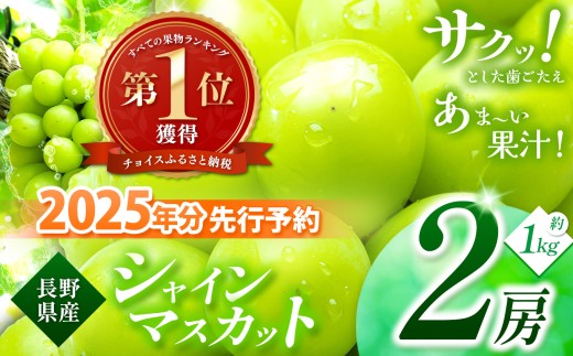 《チョイス限定》【2025年出荷】寄附金額改定しました！絶品！シャインマスカット 2房 先行予約 【9月中旬頃～発送予定】 | シャイン ぶどう 葡萄 ブドウ くだもの 果物 フルーツ マスカット しゃいん ますかっと 先行 先行予約 旬 塩尻市 長野 信州