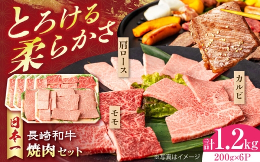 長崎和牛 モモ焼肉スペシャル 計1.2kg（モモ800g・肩ロース200g・カルビ200g）長崎県/有限会社シュシュ [42AEAA033] 2242342 - 長崎県長崎県庁