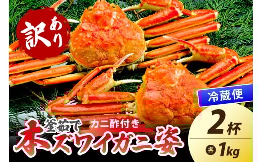 【大好評！カニ酢付き】訳あり！釜茹で！特大本ずわいがに姿 1kg×2杯　YK00485