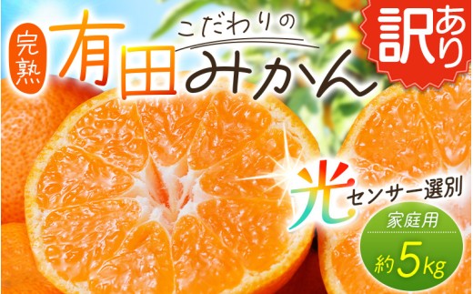 【訳あり】農家直送 有田みかん 約5kg ご家庭用 サイズ混合 ※2025年11月中旬より順次発送予定（お届け日指定不可）※北海道・沖縄・離島への配送不可 訳ありみかん みかん ミカン 蜜柑 柑橘 フルーツ 果物 くだもの 温州みかんサイズ混合 訳ありみかん 温州みかん 有機質肥料100% ふるさと納税 柑橘 有田 産地直送【nuk161C】 1393043 - 和歌山県太地町